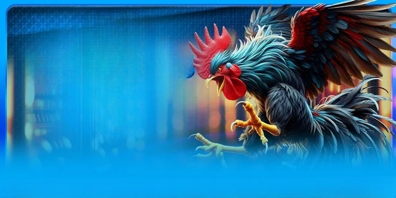 Cược gà mỹ tại nhà cái Luk88 có nhiều ưu điểm đáng trải nghiệm Cược gà mỹ tại nhà cái Luk88 có nhiều ưu điểm đáng trải nghiệm